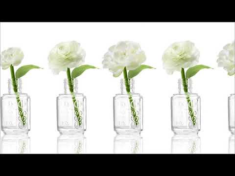 essie takes a stance for transparency in nail polish