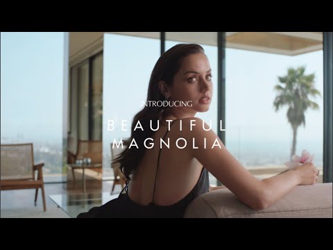 Introducing New Beautiful Magnolia
