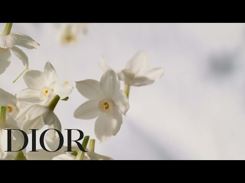 J'adore - Parfum d'eau, Flowers, Water, That's it.