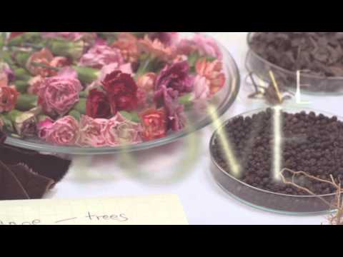 Velvet Love - An olfactory declaration of love