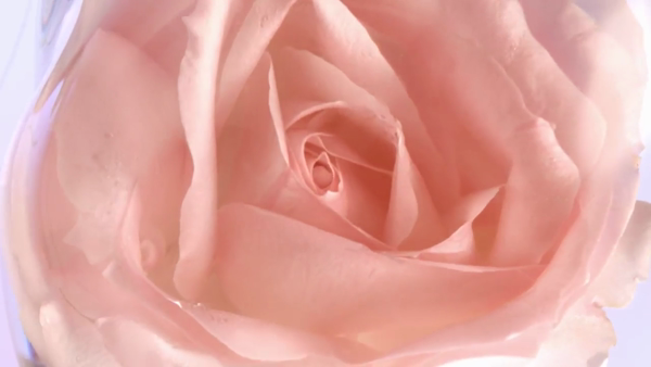 Idôle l'Eau de Toilette
