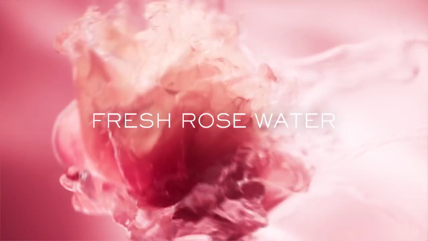 Lancôme Idôle Power Ingredients