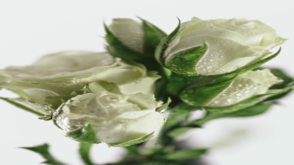 Crystal Emerald Eau De Parfum 50 ml